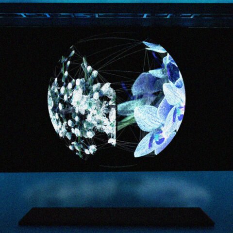 Istanbul Film and Digital Arts Festival 2025: Проживание для креативных путешественников в Faik Pasha Apartments