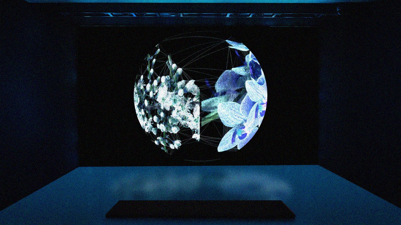 Istanbul Film and Digital Arts Festival 2025: Проживание для креативных путешественников в Faik Pasha Apartments